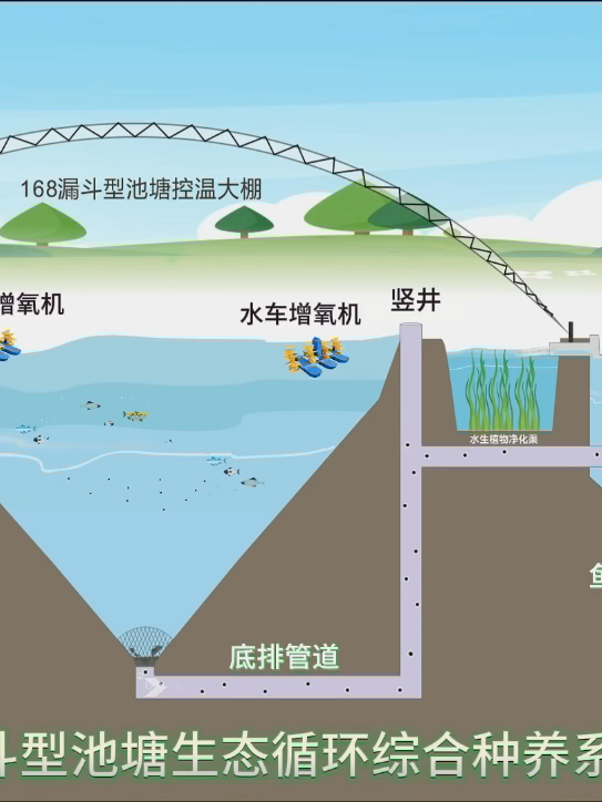 #China's Innovative Aquaculture Model