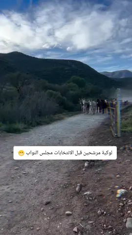 لوكية مرشحين قبل الانتخابات مجلس النواب 😁#شعب_الصيني_ماله_حل😂😂 #انتخابات #مجلس_النواب_العراقي #مرشحات #شعب_الصيني_ماله_حل😂😂 