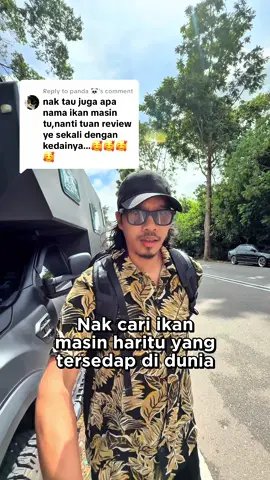 Replying to @panda 🐼 Ikan Masin masam yang sedang menjadi misteri ni.. nak cari semula sampai dapat.. ampa kena beli sendiri di Nat Pokok Getah Perlis naa.. saya mana reti buka beg kuning..
