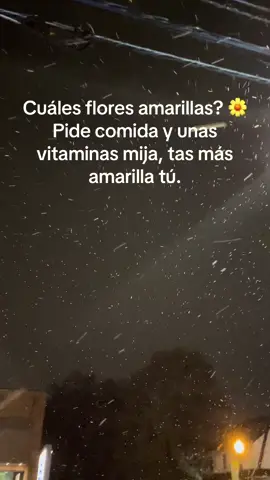 #Humor #floresamarillas  #meme 