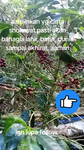 berkah berkah kita smua#aamiin #doa #viralvidio #fypppppppppppp #promoseruweekend 
