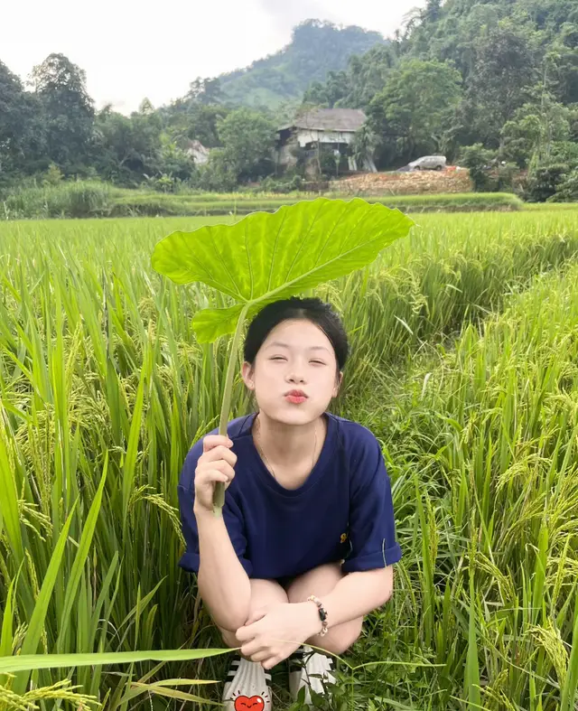 Tạm đi ha #quêhươngtôi #tiktok_india #xuhuong #canhdep #tik 