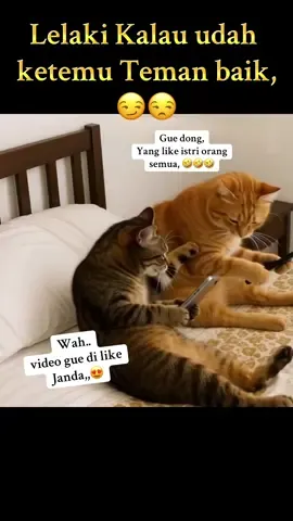 Hmmm 🤔 #cat #kucinglucu #hiburan #catsoftiktok #jangkauanluas