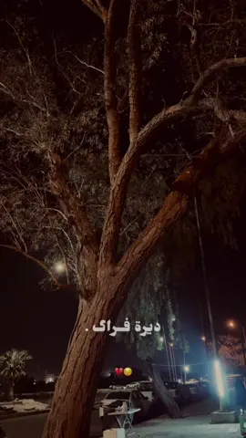 #ستوري #💔🥀 