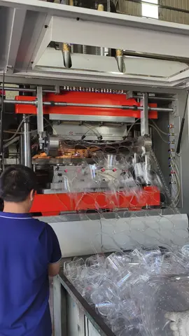 Testing the new thermoforming machine and pet cup mold for client in our factory
