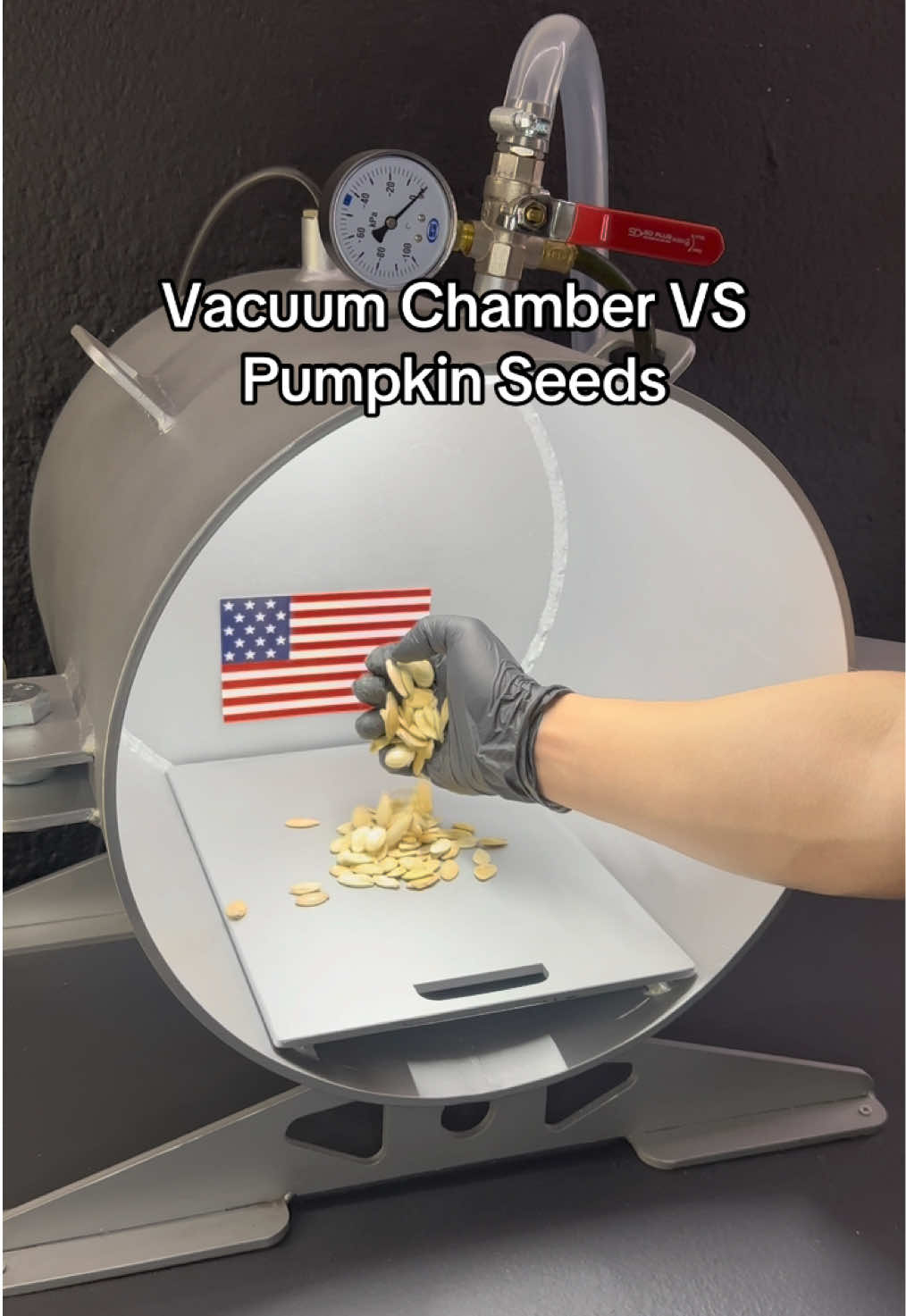 Vacuum Chamber VS Pumpkin Seeds… What’s next??? #Science #education #vacuum #scienceexperiments 