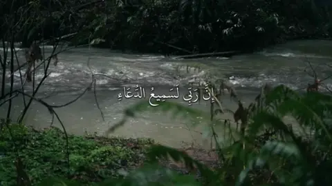 (رَبَّنَا اغْفِرْ لِي وَلِوَالِدَيَّ وَلِلْمُؤْمِنِينَ يَوْمَ يَقُومُ الْحِسَابُ) —————————————— #المنشاوي #quran #قرآن #تلاوة_خاشعة #creatorsearchinsights 