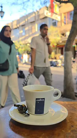 نمەی جوانی ئەو بارانە هێدی هێدی دێتە خوار 