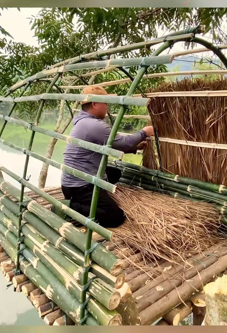 #survival #shelter #bushcraft #camping #foryou #treehouse #fyp 