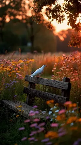 A Loving Visitor #Background #LiveWallpaper #Aesthetic #Nostalgia #freebieclip