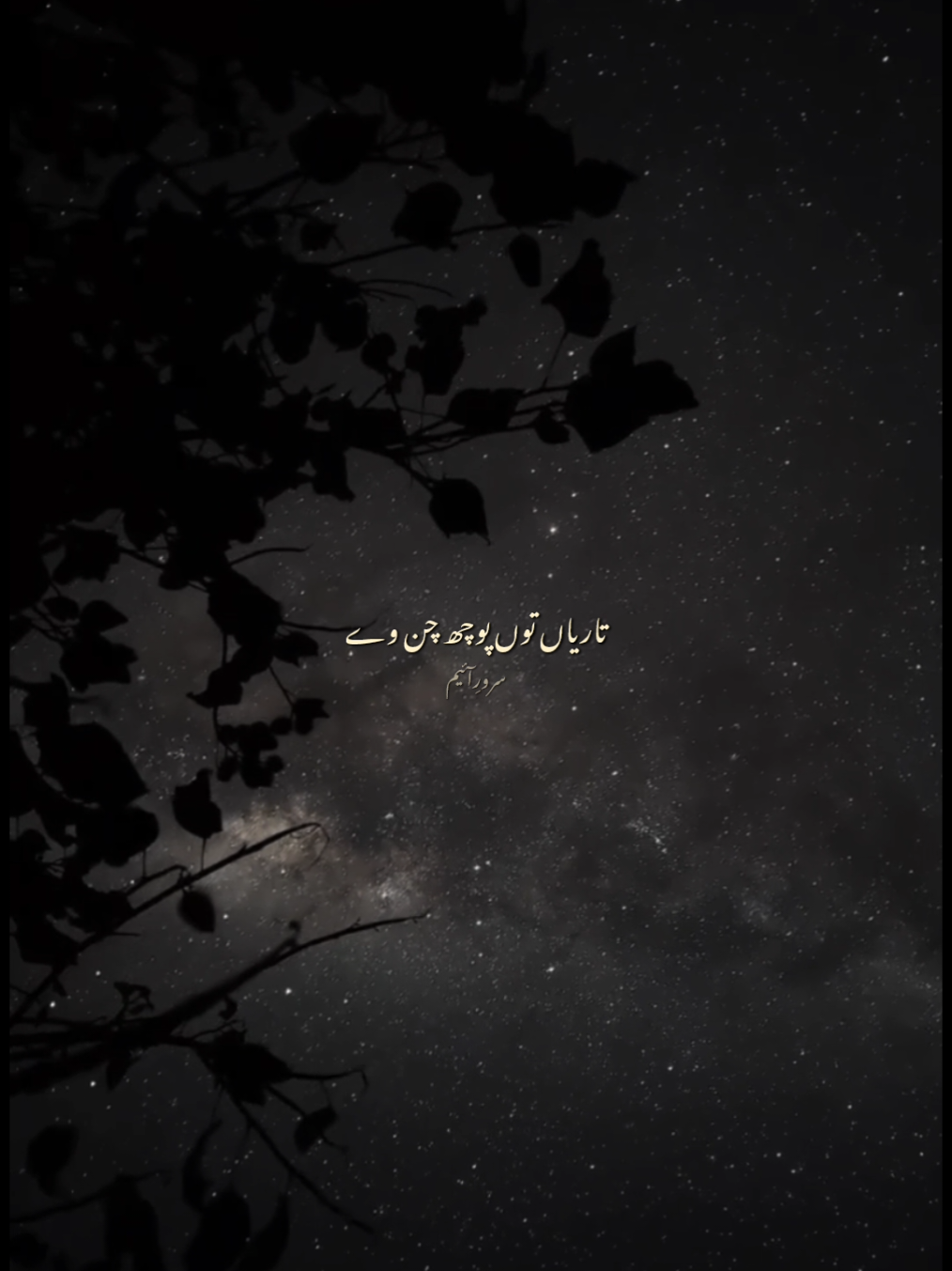 Saari raat tera takni aan raah 💕🌙🤍 Poetry | Shayari | Vocals | Slowed Reverb | Status ##fyp #foryou #foryoupage #foryour #vocals 