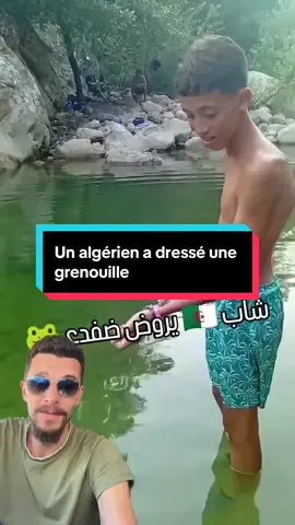 #algérie_a_dressé_une_grenouille #animeaux #animal #dressage