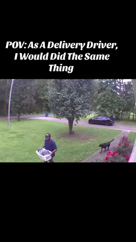 As A Delivery Driver, I Would Did The Same Thing #deliverydriver #deliveringgroceries #sparkdelivery #dog #wegoingviraltoday 