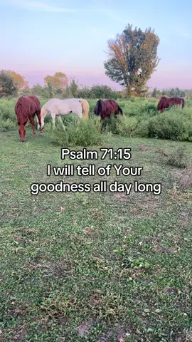 #momstyle #farmmom #kansasmom #christian #fyp 