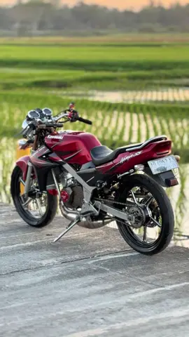 geleng geleng dek🤣🤣🤣#ninjass #twostroke #fyp #2stroke #ninjaagstyle 