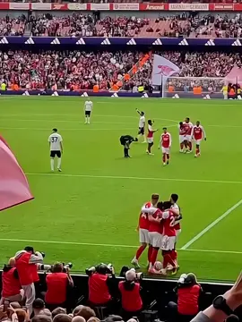 Victor Gyökeres Mask Celebration #Arsenal #arsenalfans #gunners #goatkaarsenal #arsenalfamily♥️⚪️☠️ 