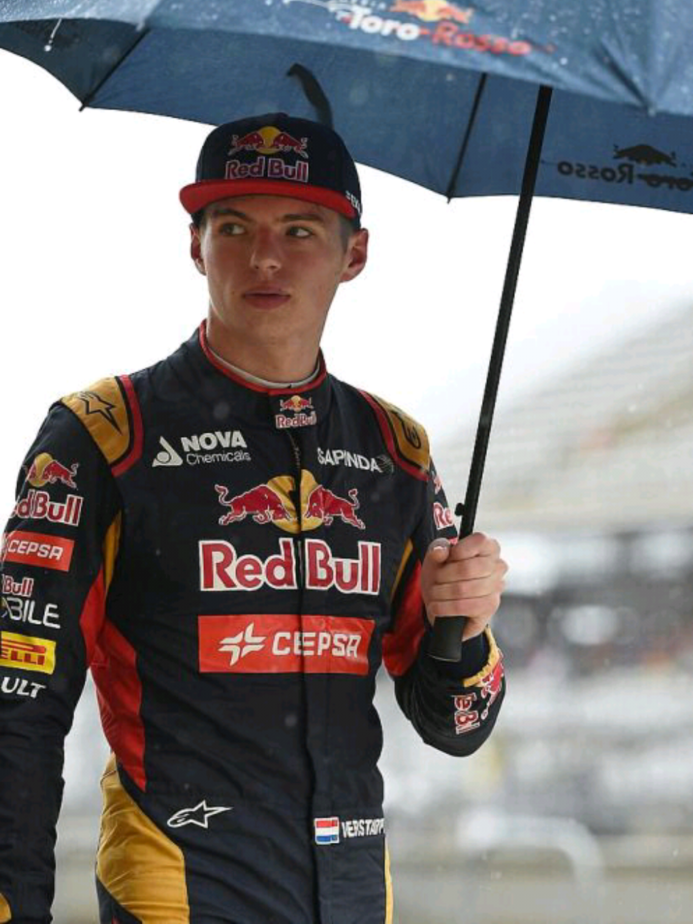 Franz Hermann 🦁 #maxverstappen #f1 #max #f1edit #goat 