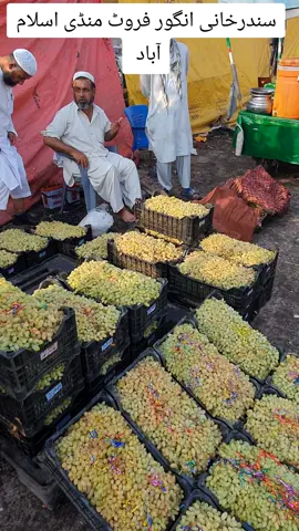 #Viralvideos #Adnanmayar #Islamabad #303 #market 