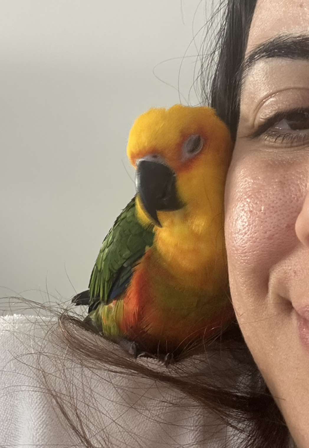 Saturday Sunggles💘 #Love #pet  #birds #cute #saturday 