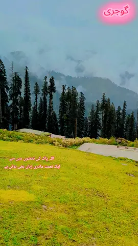 #havelikahuttakashmir❤❤❤ #havelikahutta #hallanwaterfall🍁haveli #🍁haveli #گوجری #کشیمری❤🍂 #🍁haveli #نیلےنیلےتلے 