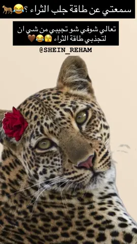 التايجر بجلب الثراء يا صبايا جرّبوه 😂🐆#shein #viral #furyou #وسيطة_شي_ان #s 