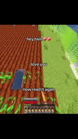 luv you gng ❤️‍🩹❤️‍🩹 || ts trend is niche🥹 #fyp #twin #loveyou #Minecraft #idk 