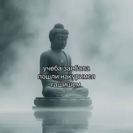 #щп