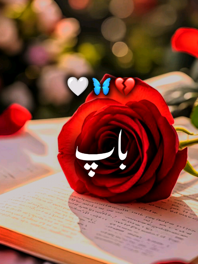 ❥͜͡𝐌𝐮𝐞𝐞𝐧⍟𝐖𝐫𝐢𝐭𝐞𝐫𝐬☙#furyou❥ #pfypシ #furyoupage #furyoupage #vairalvideo 