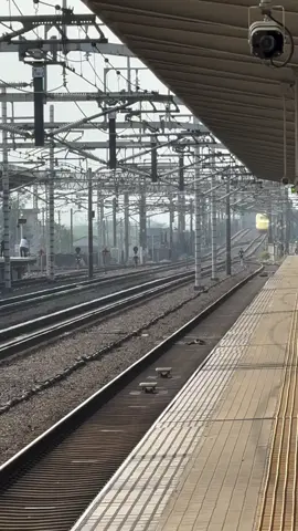#japanesetrain #japanrailway #shinkansen #日本 #新幹線  🎥: @nozomi_superexpress 