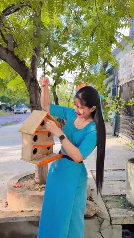 ငှက်အိမ်ကလေးတွေ ချိတ်ထားဖြစ်တယ် စိတ်ကြည်နူးစရာလေး ဖြစ်ရလို့ အရိမ်ခိုဖို့အတွက် လာတဲ့  ကိုယ့်ရဲ့ တေးဆိုငှက်လေးတွေအတွက်. . .🩵#fypシ゚ #foryourpage 