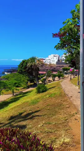 This is your sign to book that holiday !  #onthisday #canarias #tenerife #LifeIsGood #fyp 