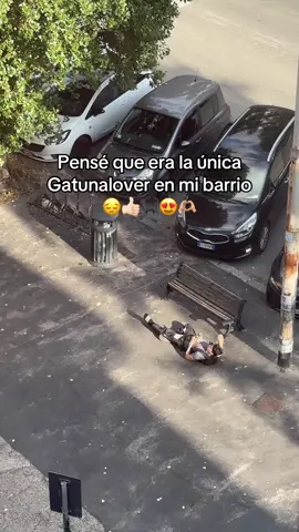 Que lindos🥰🐈🐈‍⬛#gatos #gatostiktok #gati #prati #piazzabainsizza 