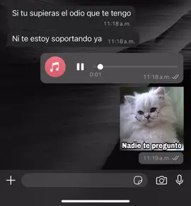 A mi no me importa nada! 🤣🤷🏾‍♀️ #audios_whatsapp #humor #audios #viral #whatsapp_status 