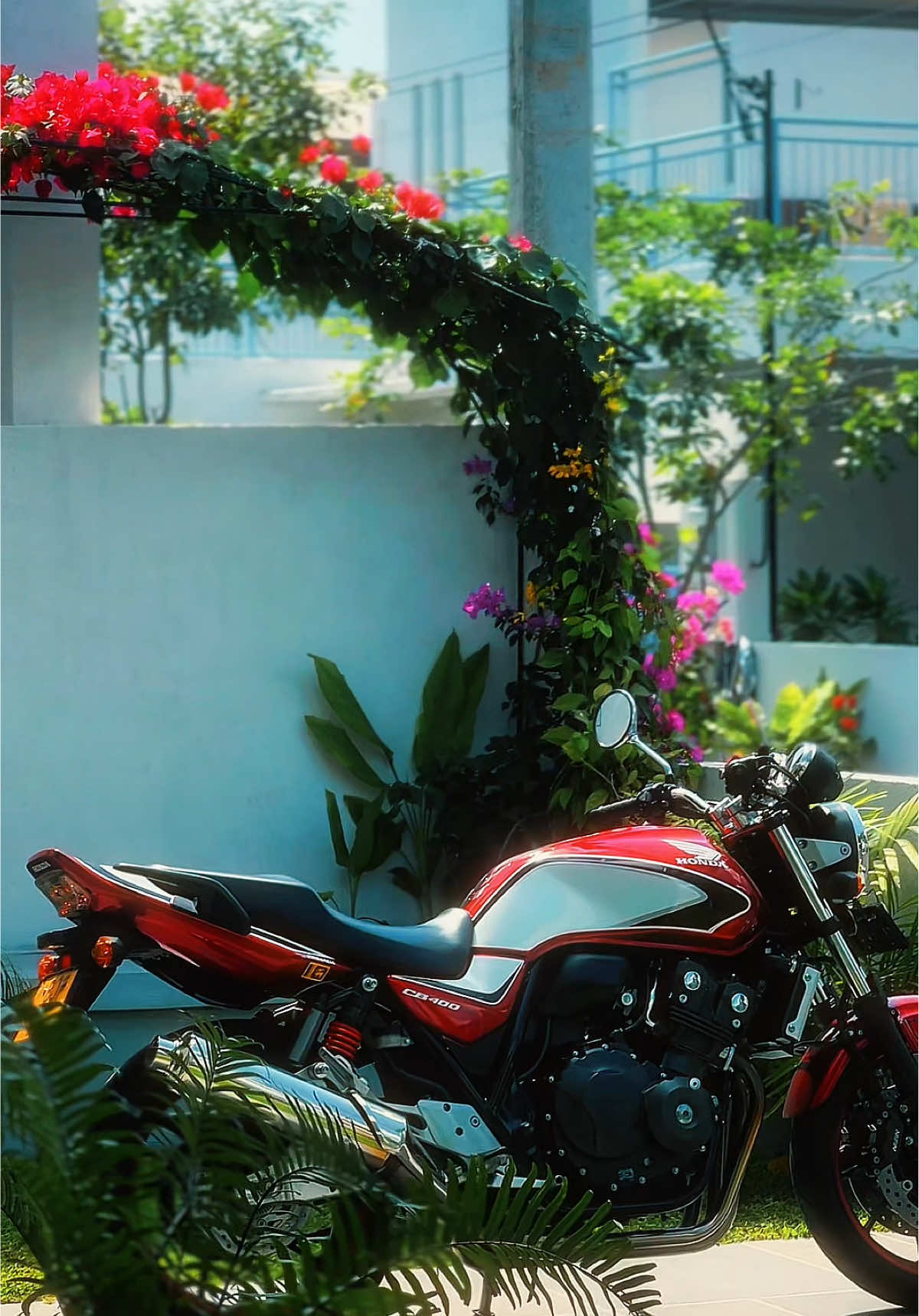 දේවදූතියක්  🧚#honda #cb4 #cb400sf #lesx400sf #bikelife