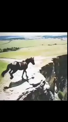 çok güzel anlatmış😞