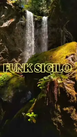 #CapCut Funk sigilo #phonk #funkbrasil #trending #fyp 