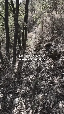 من گەلەک ئاڤداا...#actives? #sam #سام #fypage #duhok_zaxo_amedi_semel_akre #fyyyyyyyyyyyyyyyy #explore #viral #viral 