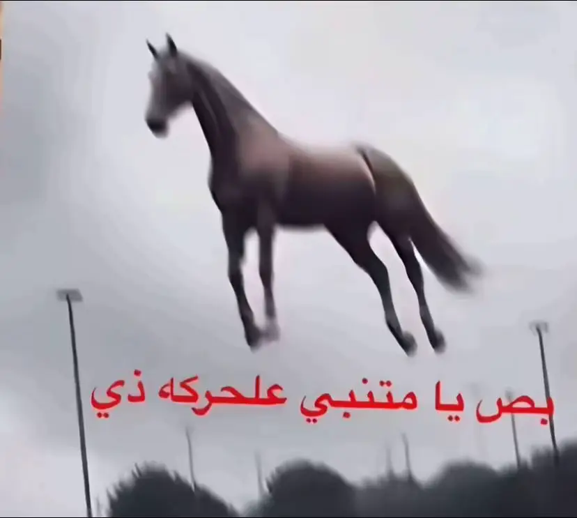 🐎🤍🤍#شطرنج #بريلينت #checkmate #chess #شطرنج_العرب 