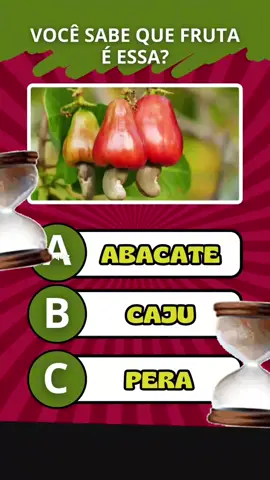 #testeseuconhecimentos #quiz #perguntaserespostas 