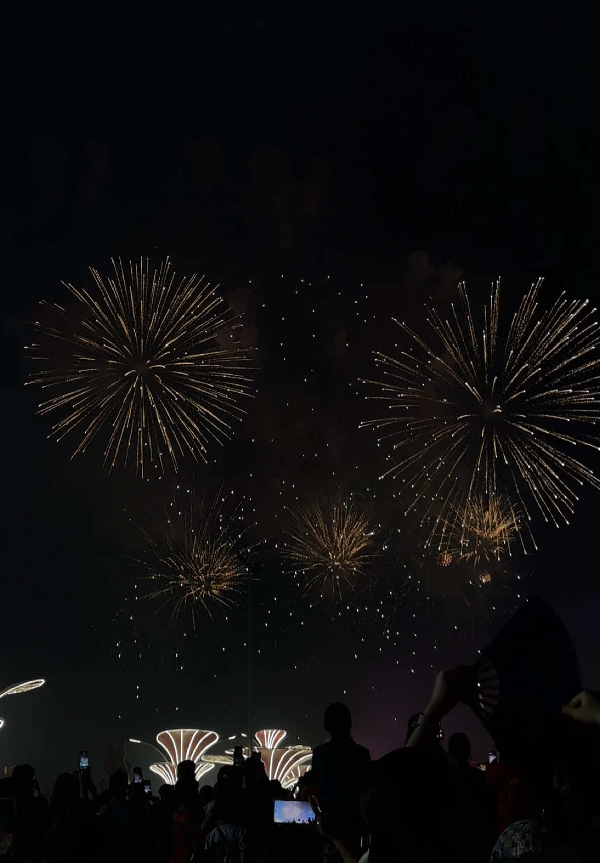 Mãn nhãn với màn pháo hoa tại Trung tâm triển lãm Quốc gia Đông Anh 🇻🇳🎇🎆 #130925 #phaohoa #trienlamquocgia #trienlama80 #viral 