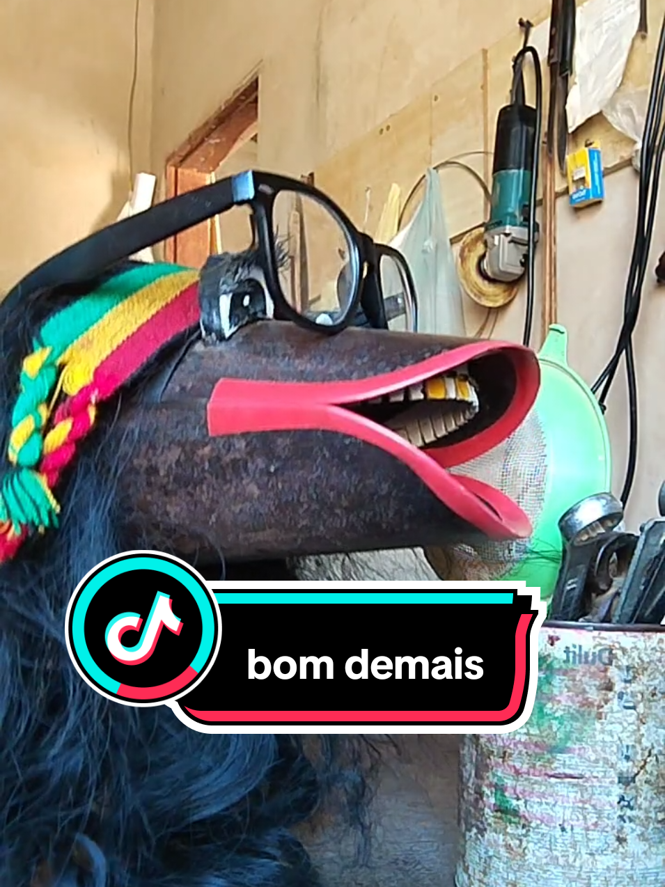 cavadeira cantora #ferramenta #cavadeira #dublagem #reggae 