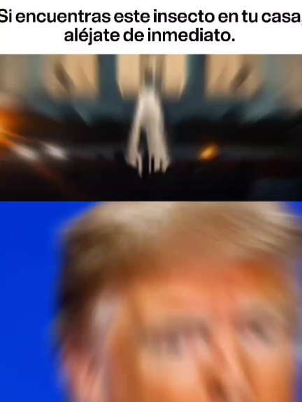 #news #latinousa 