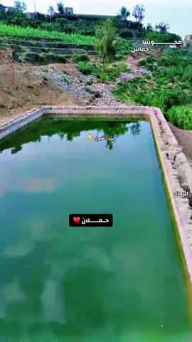 #الرحـــال🎥 #مجرد________ذووووووق🎶🎵💞 #حفاش #المحويت #اصيل_علي_ابوبكر 