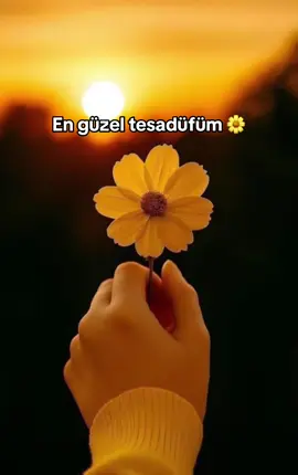 Seni çok seviyorum 🌼🌼🌼