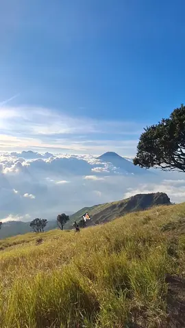 skypiea from sumbing #skypeia #pendakigunung 