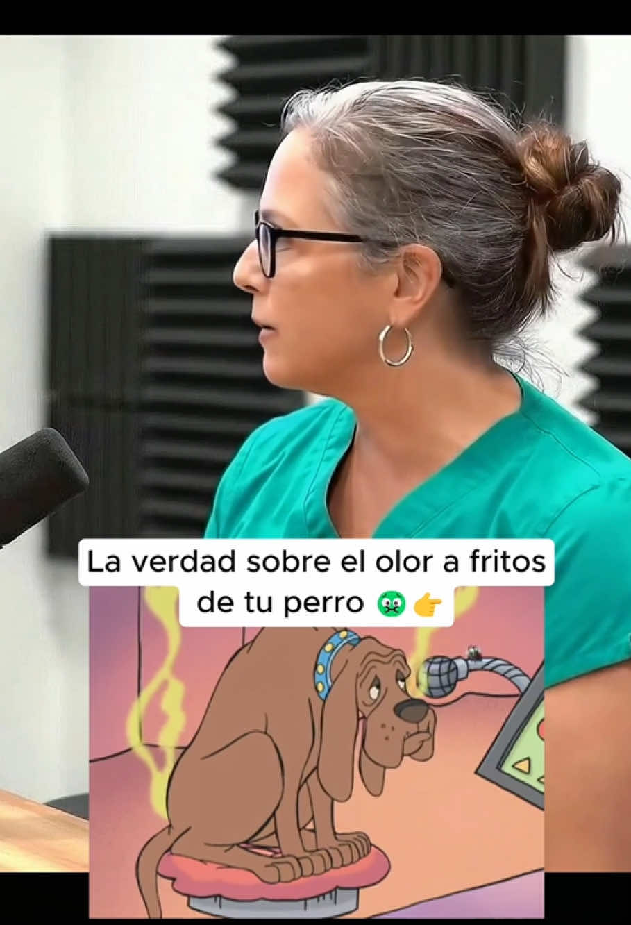 La impactante verdad detrás del olor a ‘totopos’ de tu perro 🐾#pet #petshampoo #petskincare #PuaintaBanovShampoo #Puaintapetcare 