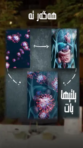 ئیلتیهابات عام 