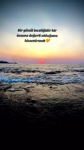 #🧡🥀🧡🌞⭐ 