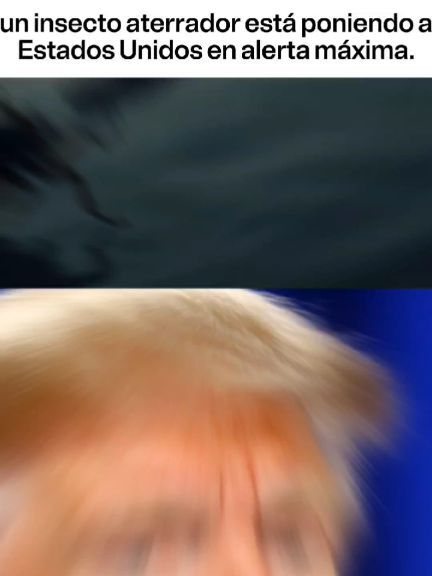 #news #latinousa 