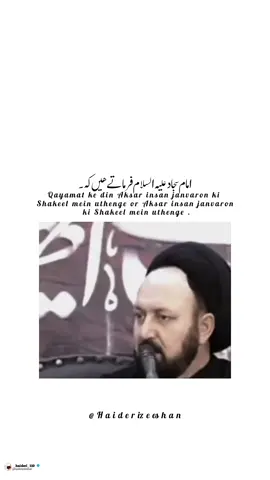 امام سجاد علیہ السلام فرماتے ھیں ۔ ۔ ۔ ۔ #امام_زمان_عجل_الله_فرجه_الشریف #السلام_عليك_يااباعبد_الله_الحسين #السلام_عليك_يا_ابا_الفضل_العباس_ع #allamsyednusratabbasbukhari #karbala 
